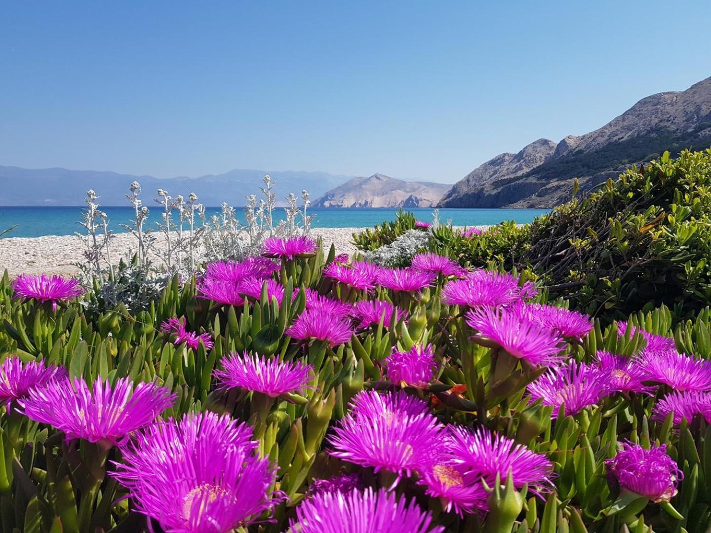 Villa Katarinini Dvori Baška Buitenkant foto